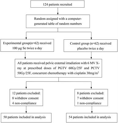 Effects of selenium supplementation on concurrent chemoradiotherapy in patients with cervical cancer: A randomized, double-blind, placebo-parallel controlled phase II clinical trial